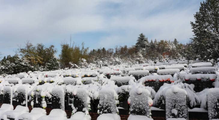 西安白鹿原公墓環(huán)境優(yōu)勢(shì)：山腰福地四季美景，高綠化率營(yíng)造幽靜安息環(huán)境