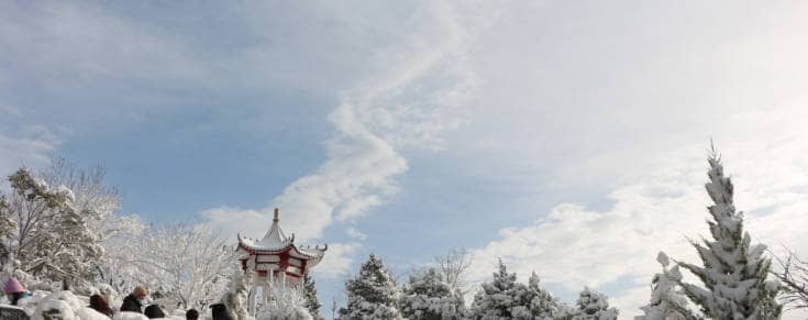 西安白鹿原公墓價(jià)格變動中，市場供需關(guān)系扮演了什么角色？