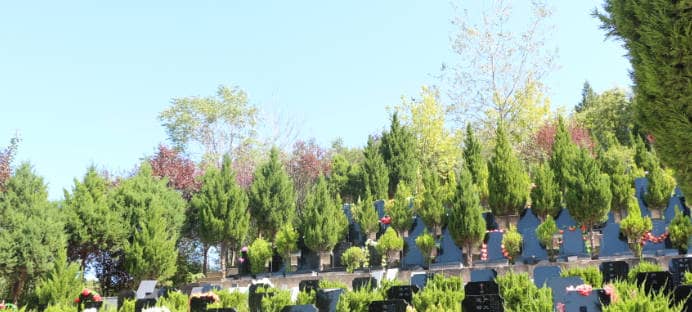 家屬如何獲取西安白鹿原墓園最新的價格信息，以便做出明智的選擇？