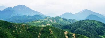 遷墳安置的優(yōu)選——鳳凰嶺公墓的專業(yè)服務(wù)