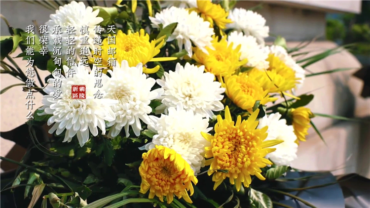 樹葬的優(yōu)缺點：你適合選擇這種綠色殯葬方式嗎？