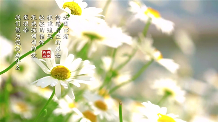 買墓第一排是吉是兇_風(fēng)水與環(huán)境