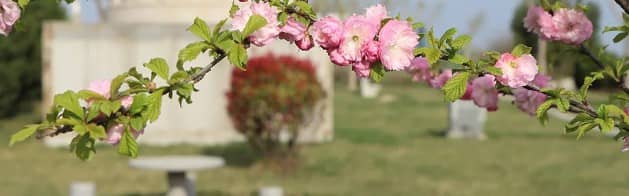 京津冀核心區(qū)的“生命后花園”——固安施孝園，連接北京與雄安的生命福地