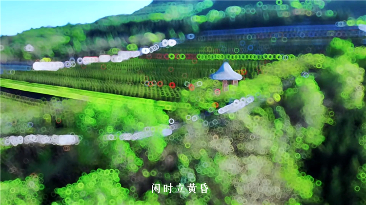 公墓退墓制度的政策與流程解析