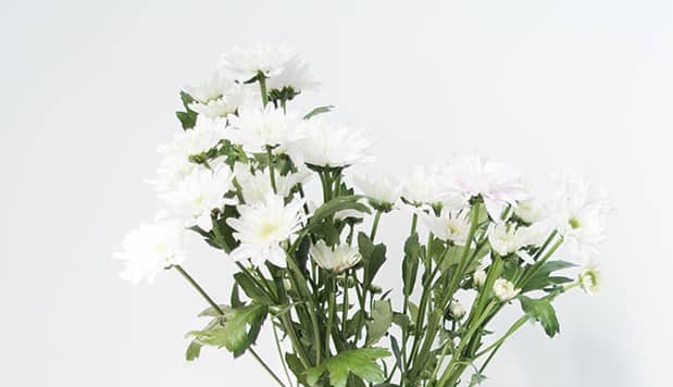 西安周邊便宜墓園