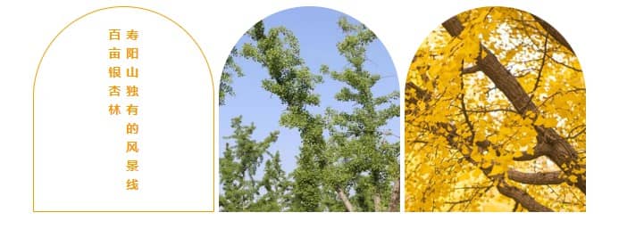 墓碑17排和19排哪個(gè)好？