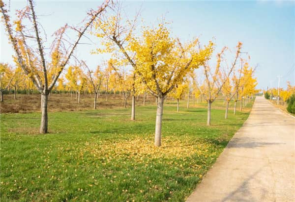 西安下葬暖坑儀式與操作方法_傳統(tǒng)土葬流程解析