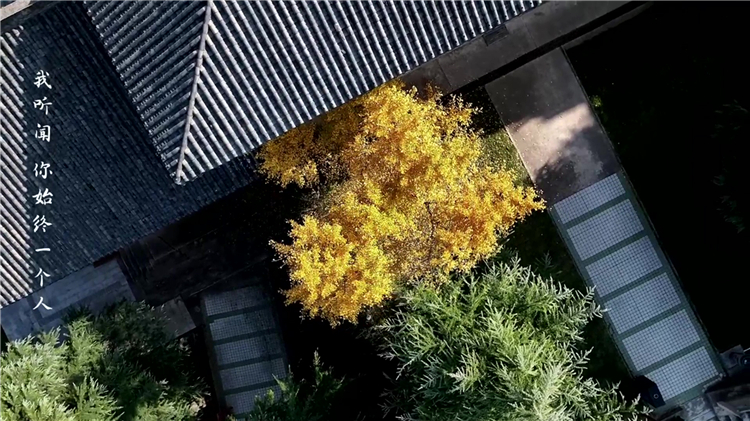 和親家同選一塊墓地土葬好嗎 墓地選擇