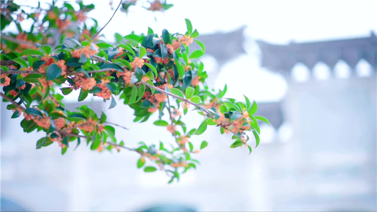 西安墓園文化與環(huán)境解析 | 閻良漢皇樹(shù)葬墓園的理想歸宿