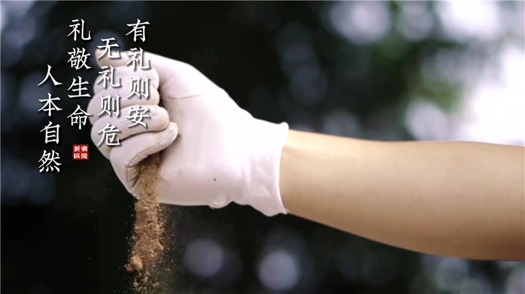 骨灰回家最忌三個原因，你知道背后的說法嗎？