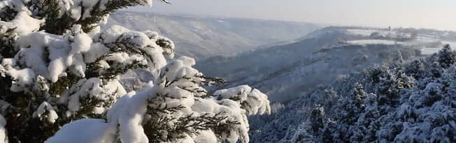 清明當天可以剪頭發(fā)嗎？