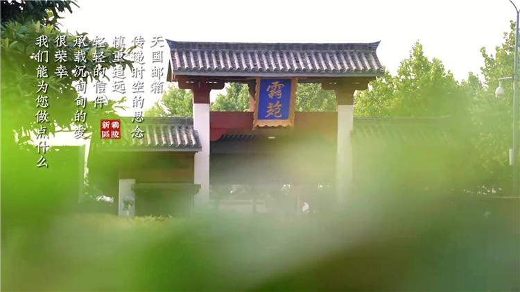 公墓選9號(hào)的好嗎？