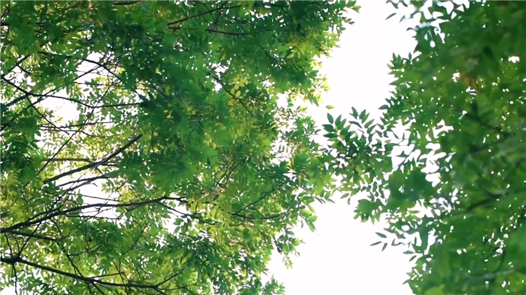 塔陵埋葬人的十大忌諱？解析安葬禁忌與注意事項(xiàng)