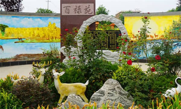 西安墳墓樹修剪最佳時間及墓園使用年限詳解, 西安墓園綠化維護與使用周期管理指南