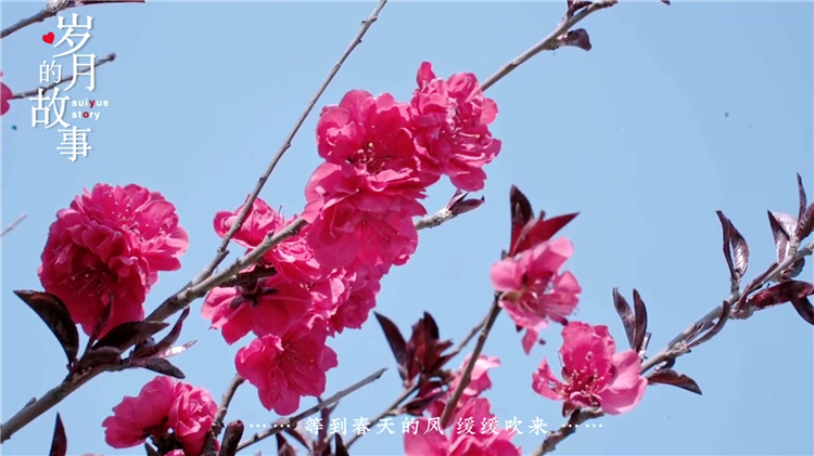 西安下葬的程序是什么？