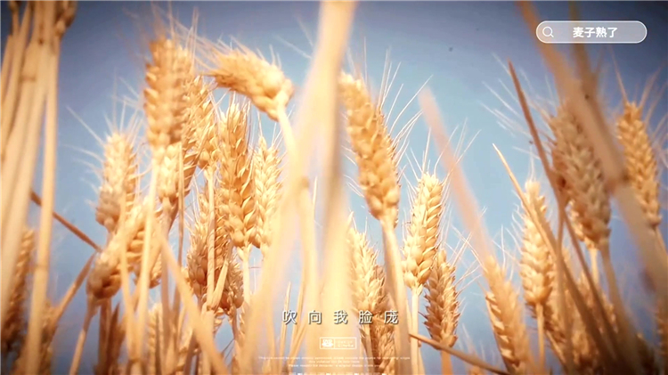 墓園遇到自然災(zāi)害（如暴雨沖刷）導(dǎo)致墓碑損壞，墓園是否負(fù)責(zé)修復(fù)？