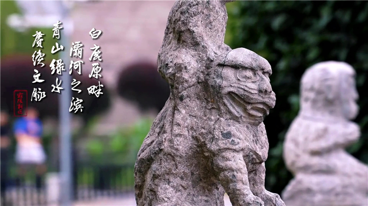 墓園手續(xù)門檻高，特殊群體祭掃受阻怎么辦？