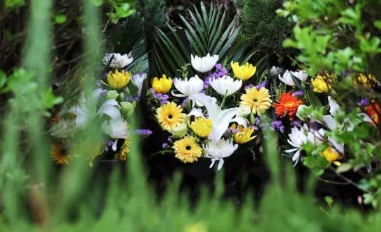 西安還有哪些公墓提供樹葬、草坪葬等生態(tài)葬式