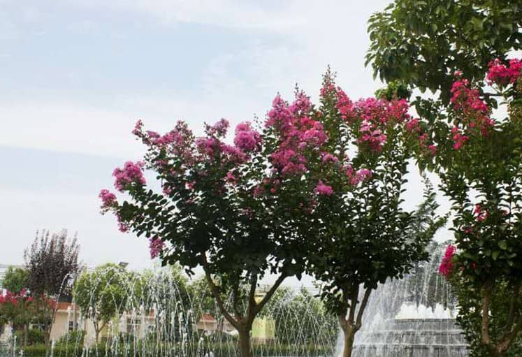 西安墓園在哪兒 | 主要分布區(qū)域與地址指南