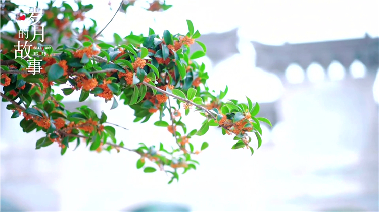 西安周邊公墓分布在哪里，快來看！