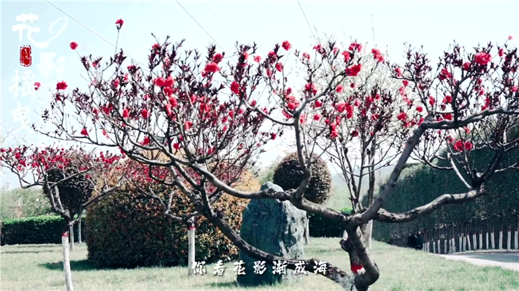 西安山區(qū)公墓指南：秦嶺北麓的靜謐生態(tài)紀念場所