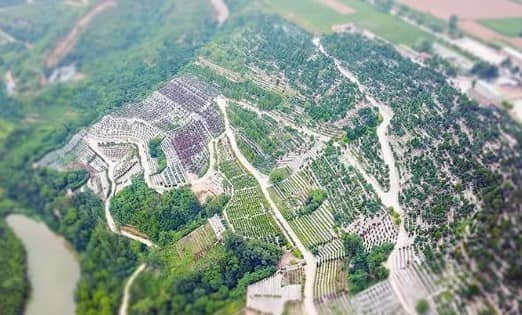 西安周邊墓園哪個(gè)好 | 自然環(huán)境與服務(wù)質(zhì)量的綜合對(duì)比