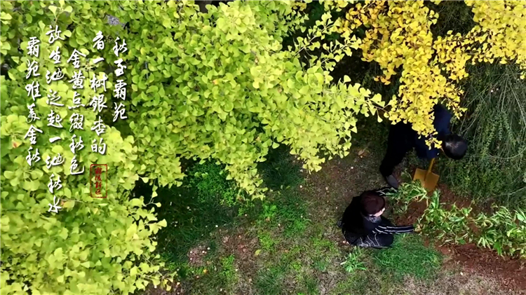 西安東郊有哪些公墓，為故人守護(hù)