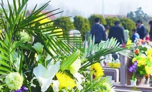 遷墳時祖先遺骸脊骨順序錯亂是否會影響風(fēng)水？科學(xué)解讀與民俗建議