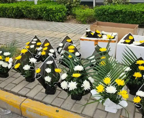 西安漢陵墓園全面介紹 | 國有合法墓園的五大核心優(yōu)勢解析