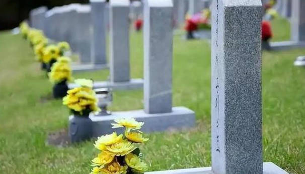 是否允許在墓地周圍擺放鮮花或其他紀(jì)念品？詳細(xì)解答