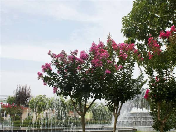 西安市的哪些墓園屬于低價(jià)位墓園？