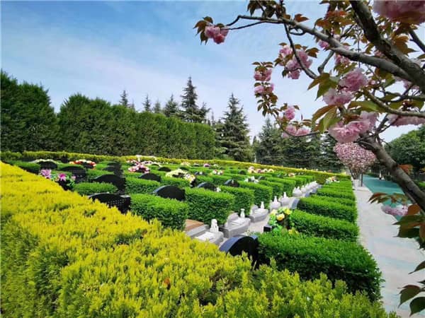 在選擇西安公墓時，為何建議考慮開發(fā)年限較短的陵園？