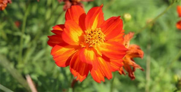 西安公益公墓，墓地低價(jià)專(zhuān)區(qū)現(xiàn)已開(kāi)啟