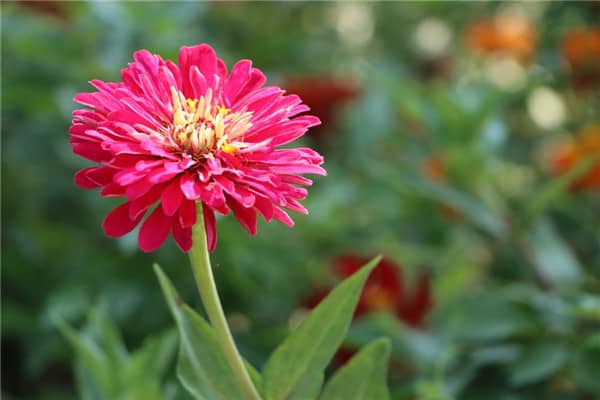 西安哪個墓地銷售最好