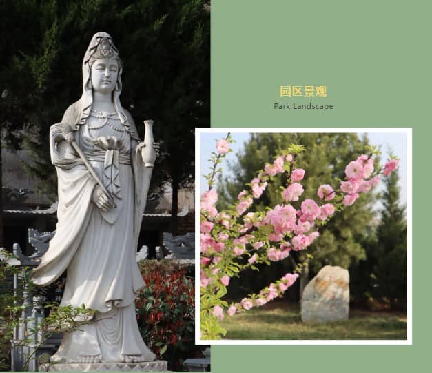 西安人死后的墓地，公墓團(tuán)購